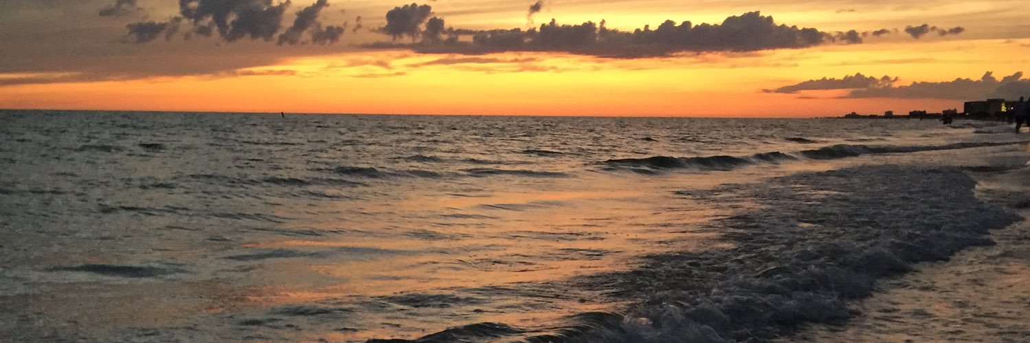 adriasnyder_'s profile banner image