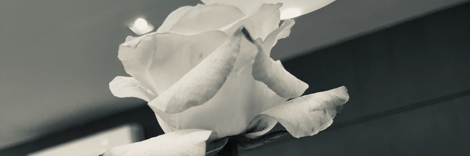 nessaelele2014's profile banner image