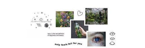 studyrainbow's profile banner image