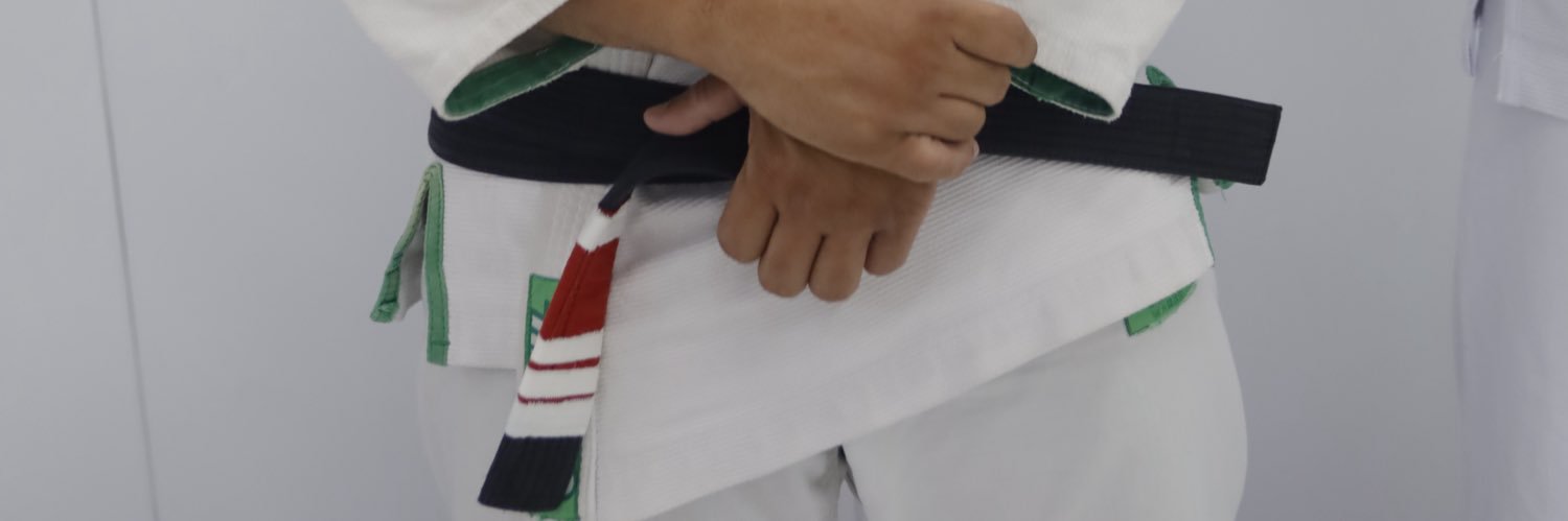 ChatinhoRogerio's profile banner image