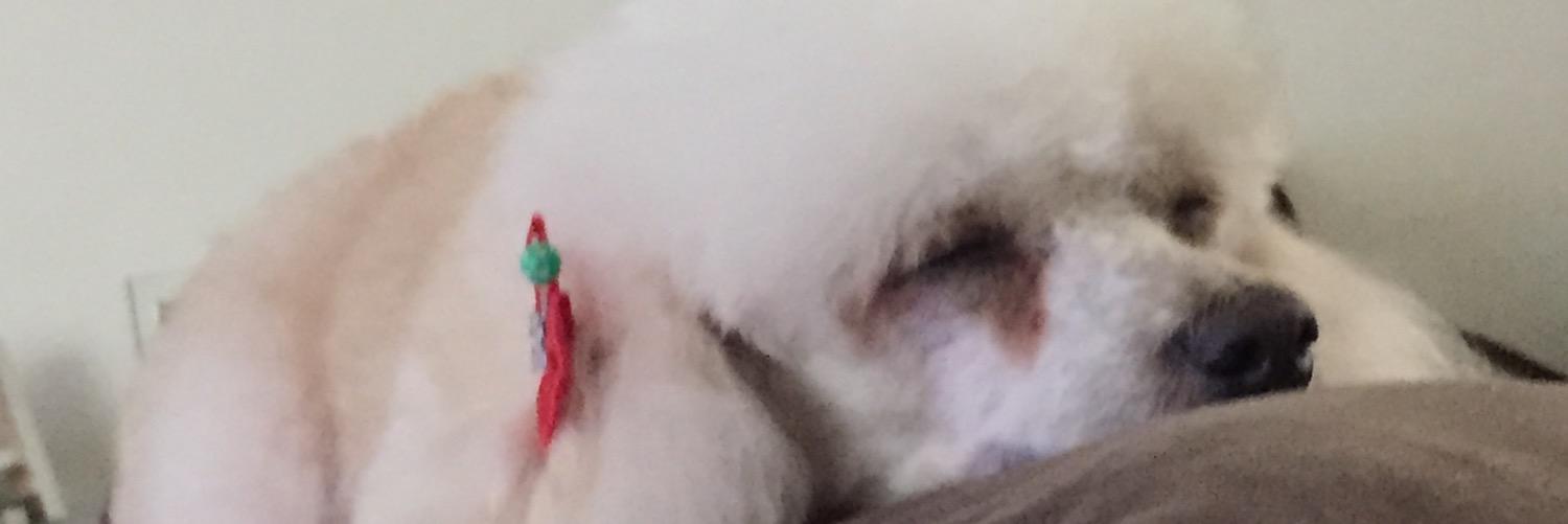 _gilopes2's profile banner image