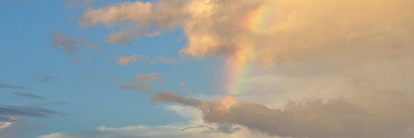 KateDonnelly20 Profile Banner