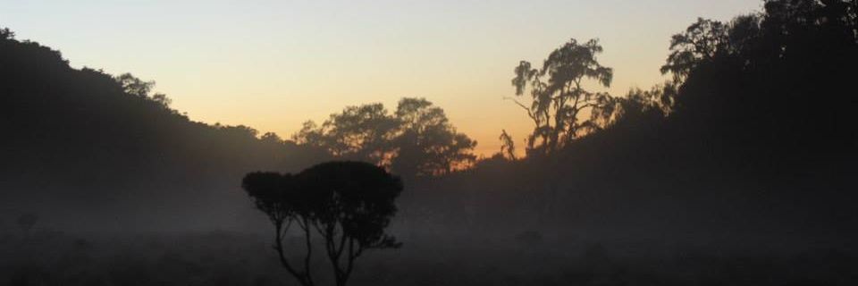 Idwal_804's profile banner image