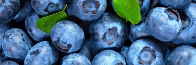 саша.тчк. banner