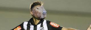 CapivarasFC's profile banner image