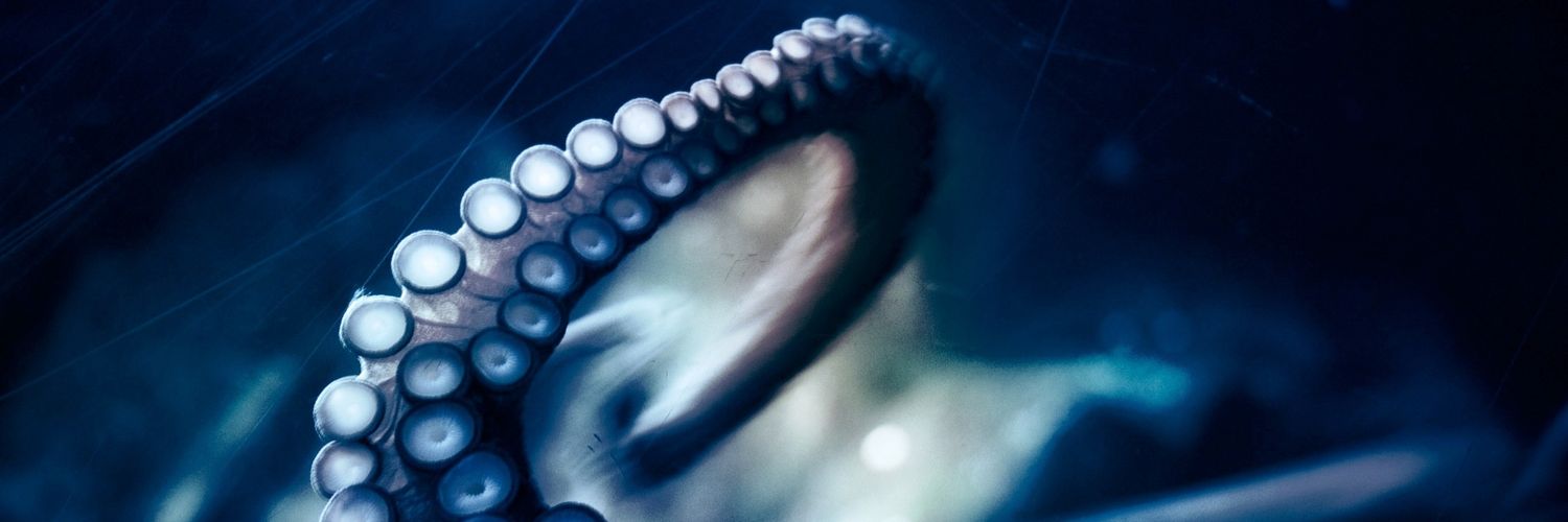 Bluefury13's profile banner image