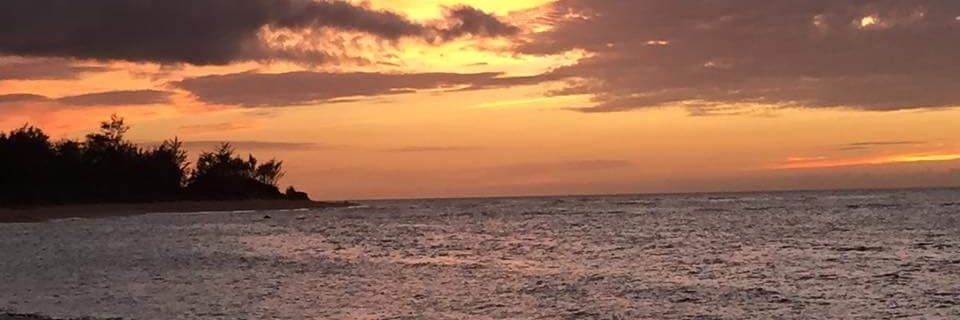 FortuneCoqui's profile banner image