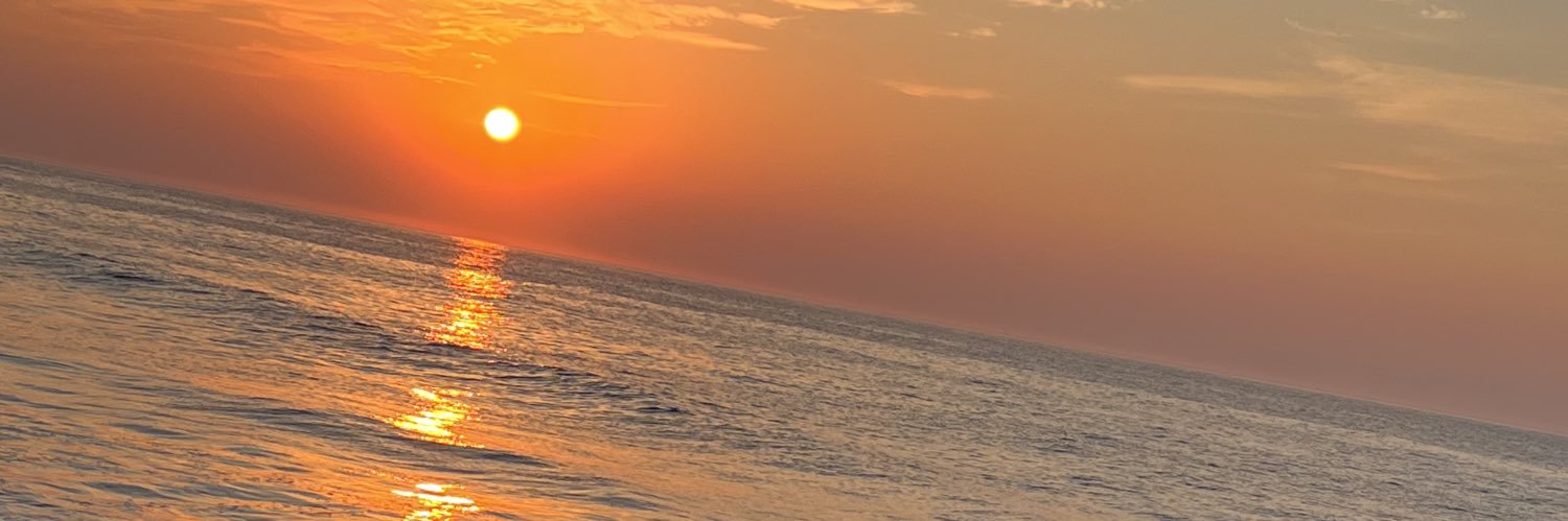 LexiShandor's profile banner image