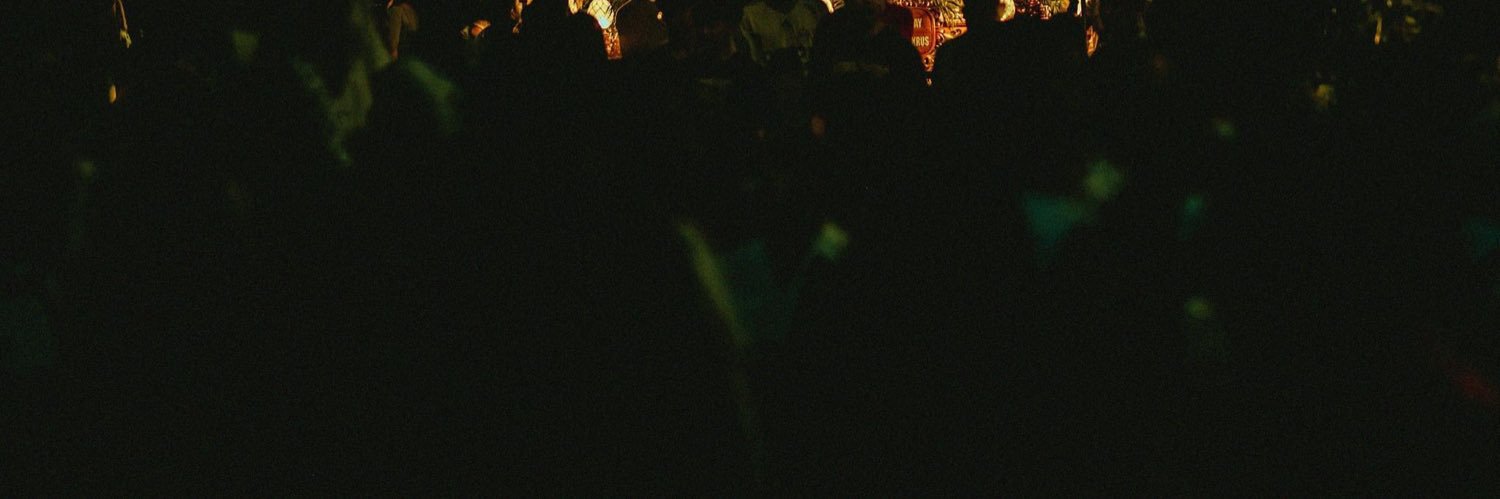 bobinalarcon's profile banner image