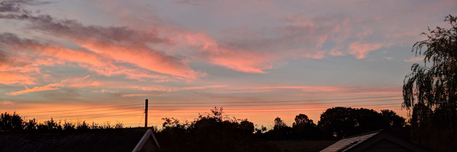 Martin Sims #BishopsOut banner