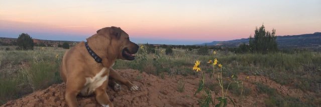 cassilynnnn's profile banner image