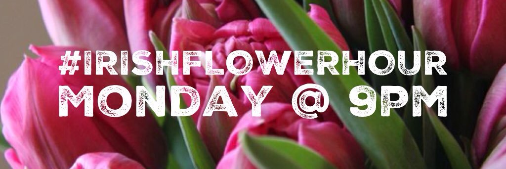 IrishFlowerHour's profile banner image