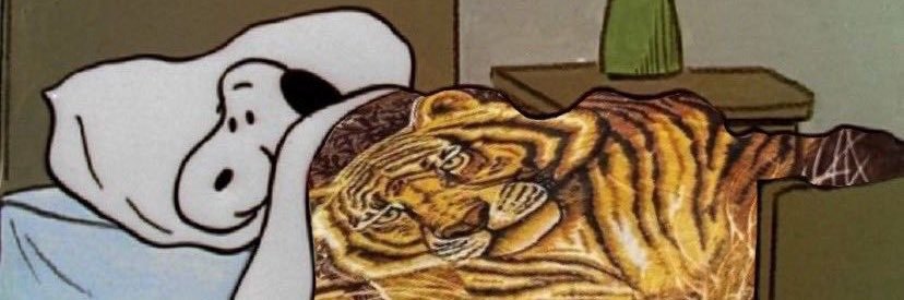 b3c4b7's profile banner image