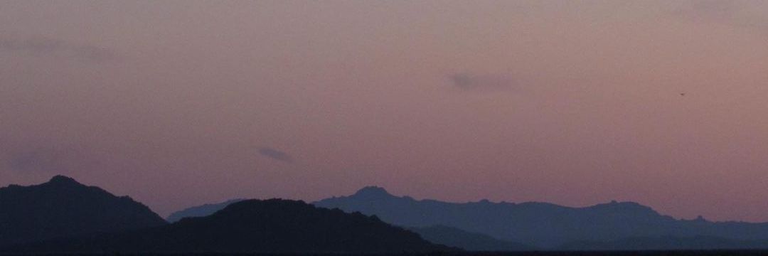 Indigo ✨️ banner