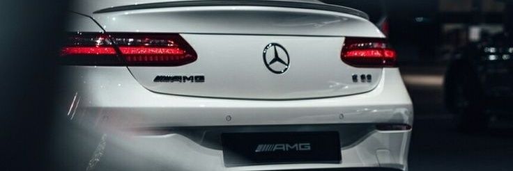 daniela rojas banner