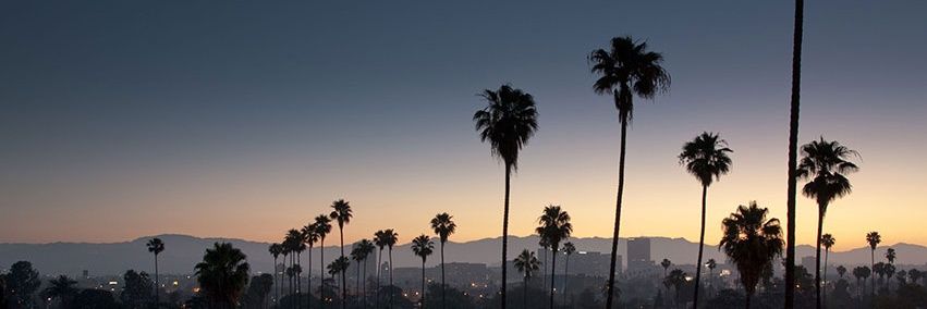Kuadry's profile banner image