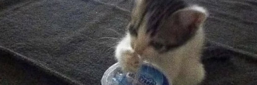 iiremonemm's profile banner image
