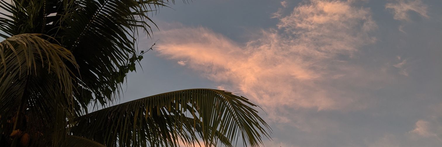 xalist4irx's profile banner image