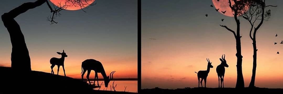 A__Dubb's profile banner image