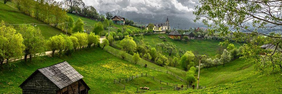 TransylvaniaTU's profile banner image