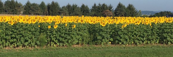 hempf23 Profile Banner