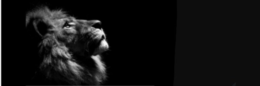 Selim_can7's profile banner image