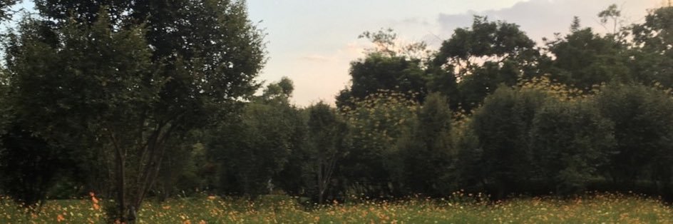 erosisnothere's profile banner image