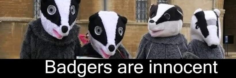 OxonBadgers's profile banner image