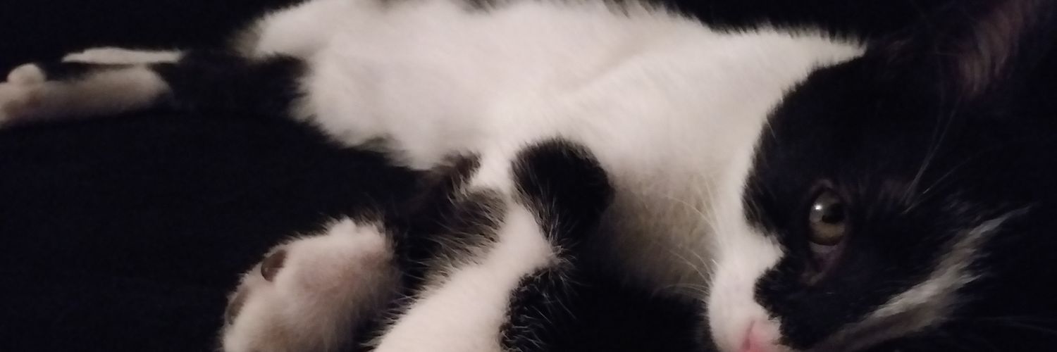karaborsa_35's profile banner image