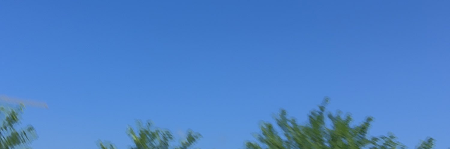 ChaperonEthan's profile banner image
