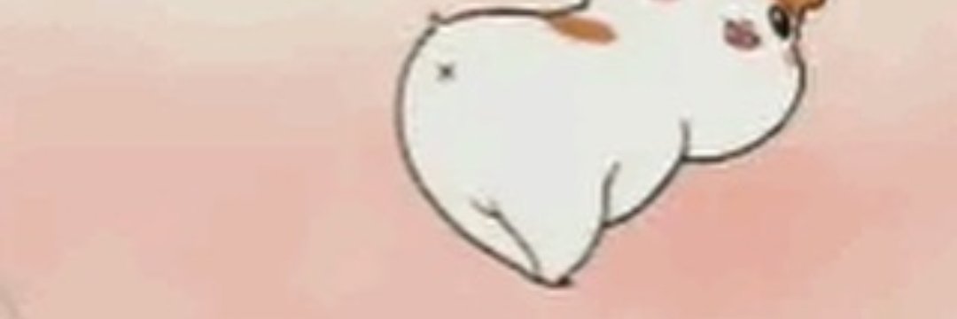 andreamnbs's profile banner image