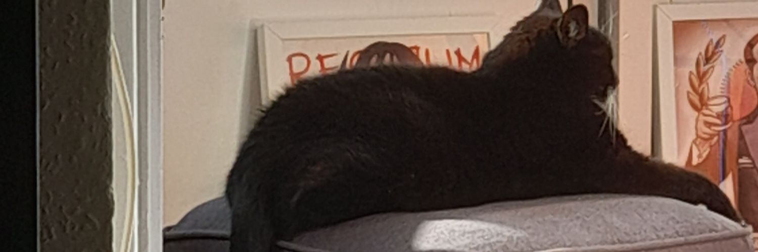 DoodlingRob's profile banner image
