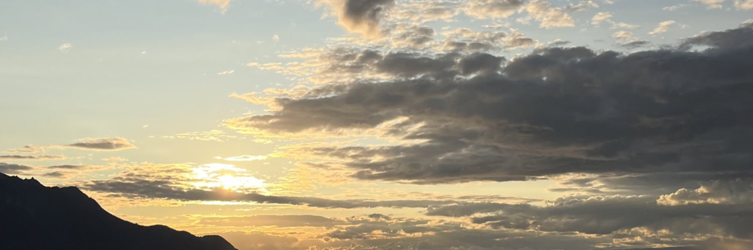 Melisa Márquez A.🇵🇦🇨🇭 banner