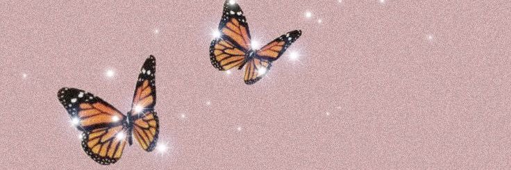 AlliWardd's profile banner image