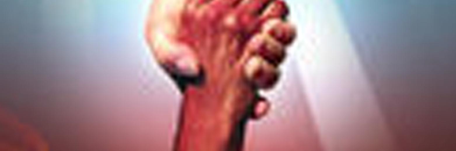 afterlifede's profile banner image