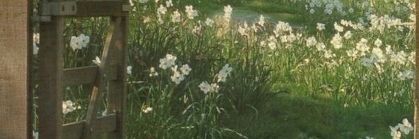 johnwayne12345 Profile Banner