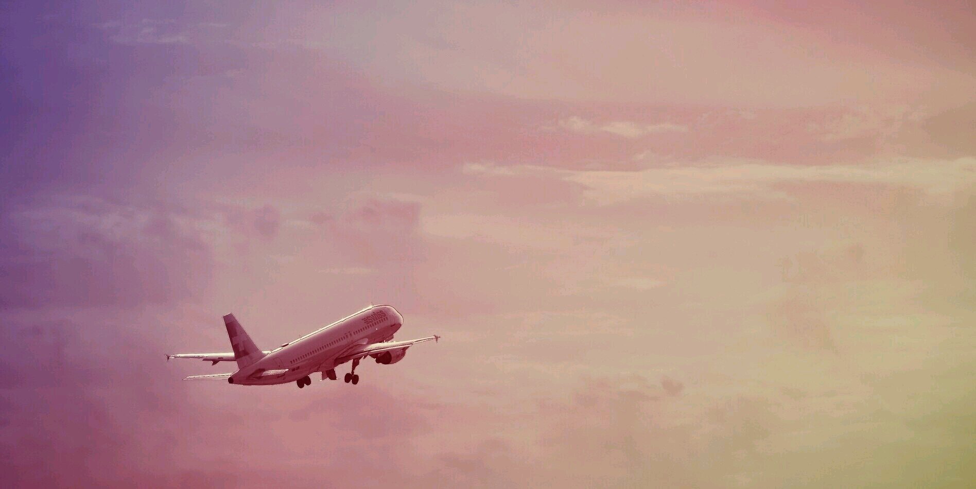 carleencolap's profile banner image