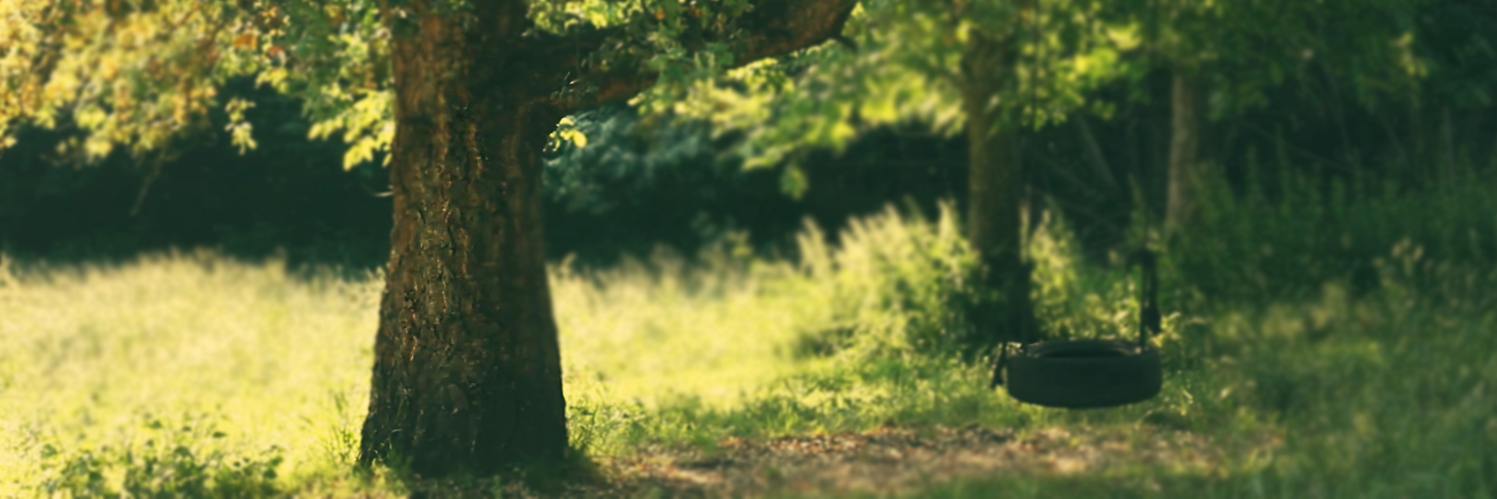 Misturas_WebDoc's profile banner image