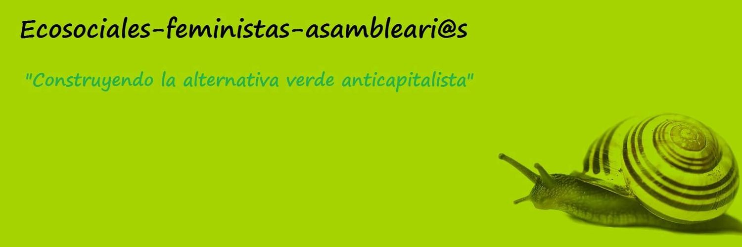 MAEcosocial's profile banner image