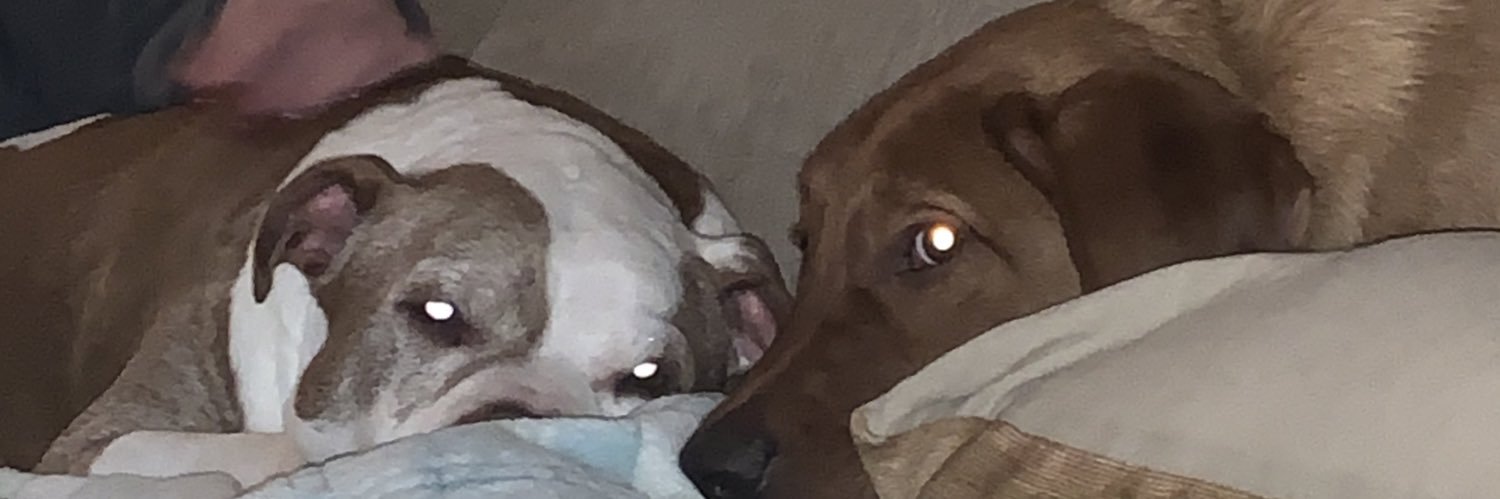 CoreyLuty's profile banner image