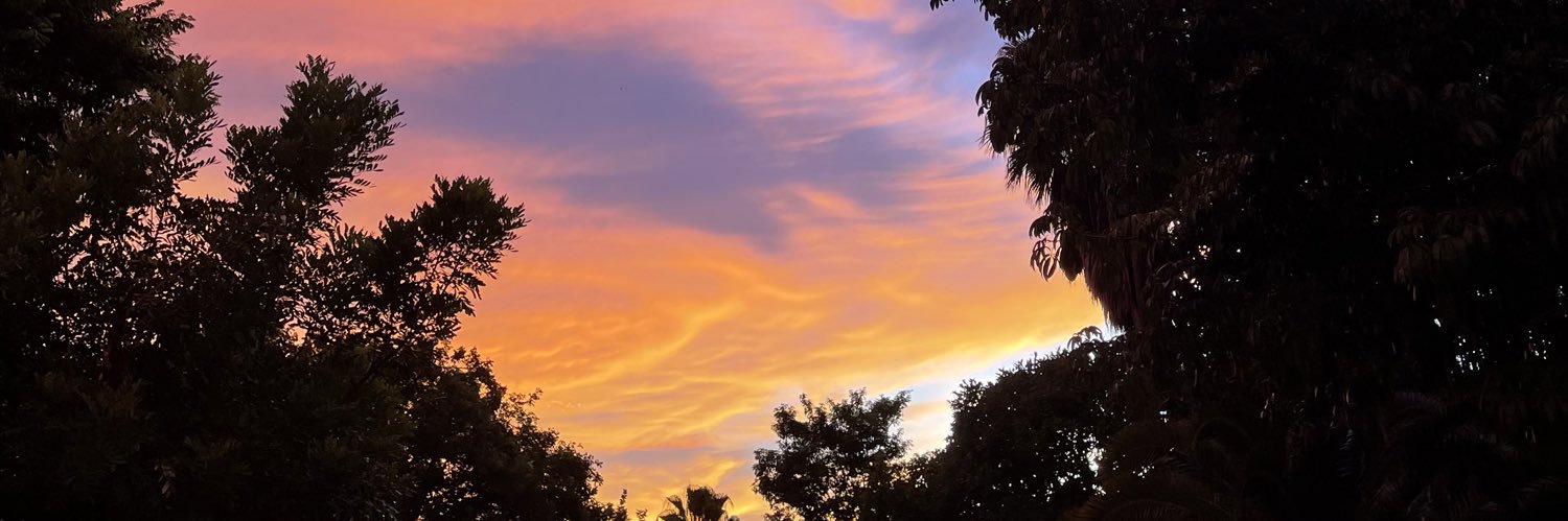 _edithramirezol's profile banner image