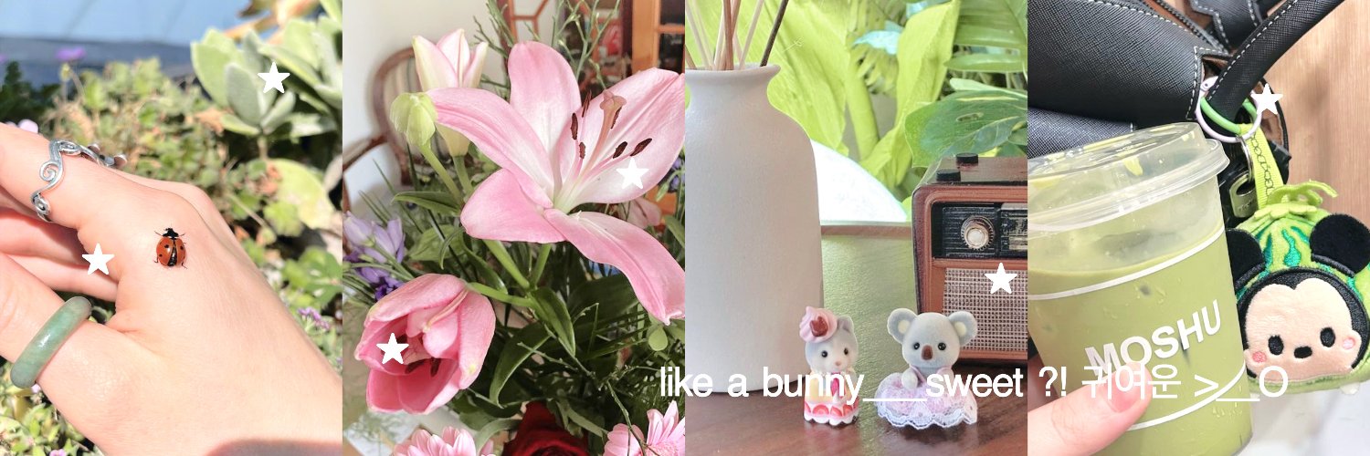 lica lucu ✮ banner