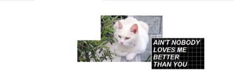 Niall♡ banner