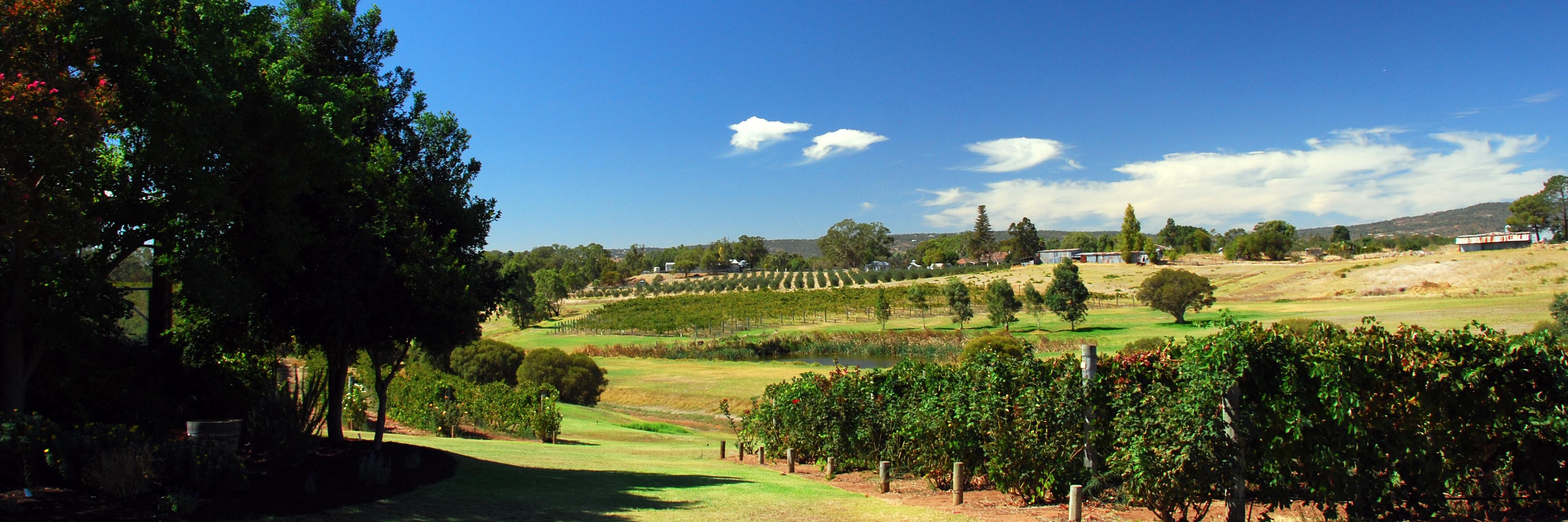 svlimowinetours's profile banner image