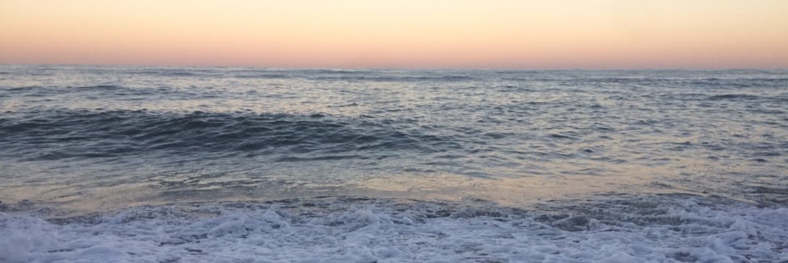 tayyyradle's profile banner image