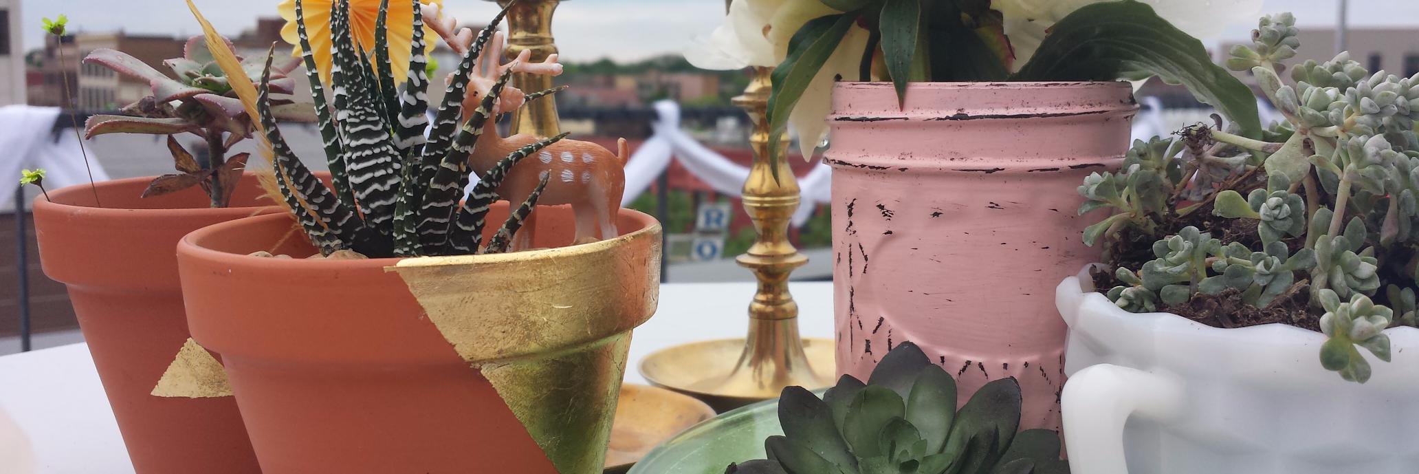 DelaneyFreer's profile banner image