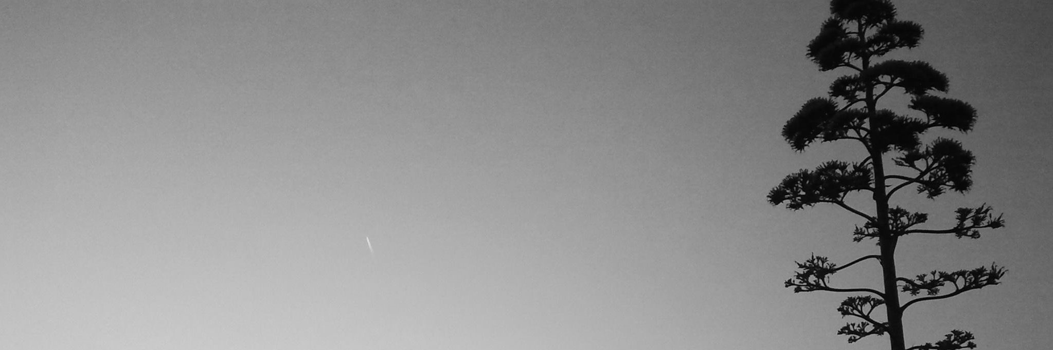 flxsrbr's profile banner image