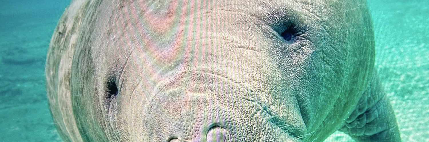 Isaac Malibu 🏳️‍🌈🇦🇬🇬🇲🇬🇧 banner