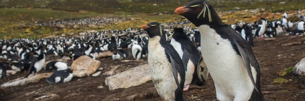 SmallStatesQM Profile Banner