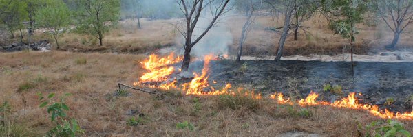 croos_SMU Profile Banner